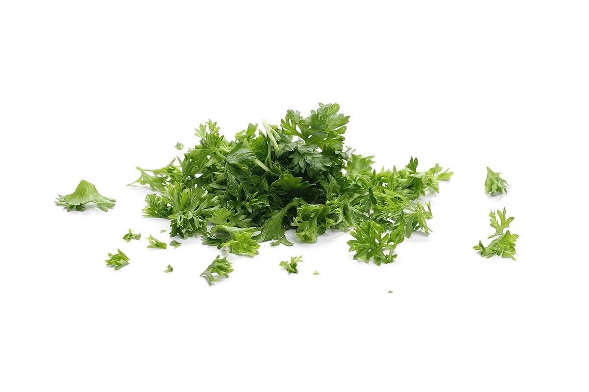 Cilantro