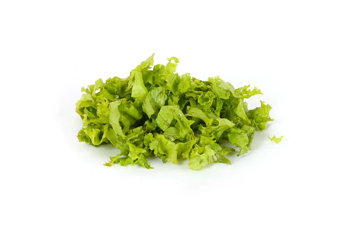 Shredded Lettuce